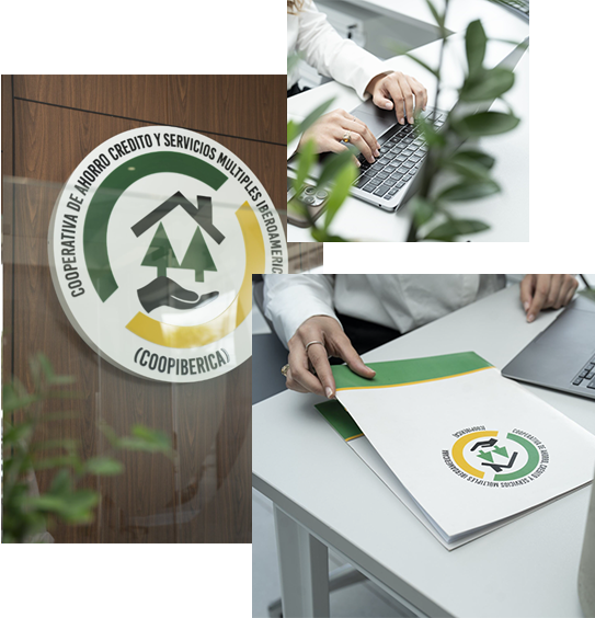 Professional Service